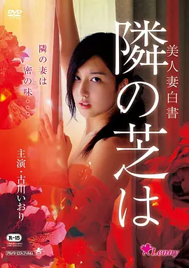 龙猫